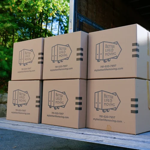 better_life_moving_2